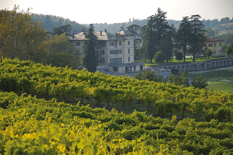 Winery and Vineyards (LA BOLLINA PIEDMONT)